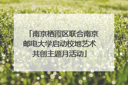 南京栖霞区联合南京邮电大学启动校地艺术共创主题月活动