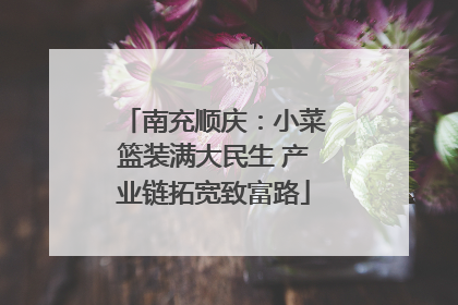 南充顺庆：小菜篮装满大民生 产业链拓宽致富路