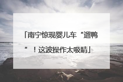南宁惊现婴儿车“遛鸭”！这波操作太吸睛