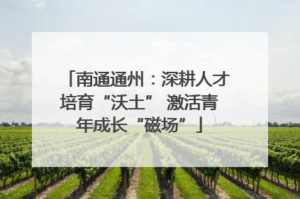 南通通州：深耕人才培育“沃土” 激活青年成长“磁场”
