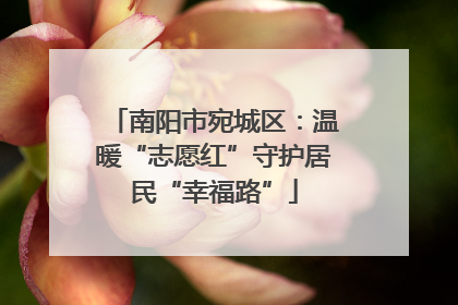 南阳市宛城区：温暖“志愿红”守护居民“幸福路”