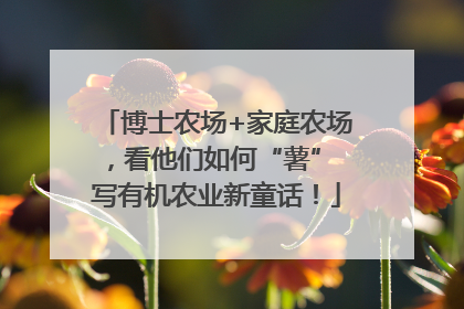 博士农场+家庭农场，看他们如何“薯” 写有机农业新童话！