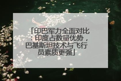 印巴军力全面对比：印度占数量优势，巴基斯坦技术与飞行员素质更强