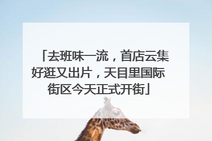 去班味一流，首店云集好逛又出片，天目里国际街区今天正式开街