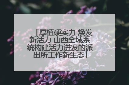 厚植硬实力 焕发新活力 山西全域系统构建活力迸发的派出所工作新生态