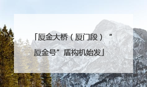 厦金大桥（厦门段）“厦金号”盾构机始发