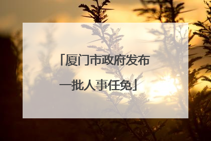 厦门市政府发布一批人事任免