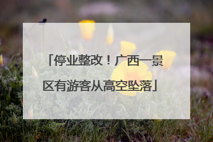 停业整改！广西一景区有游客从高空坠落