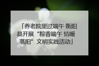 养老院里过端午 衡阳县开展“粽香端午 情暖蒸阳”文明实践活动
