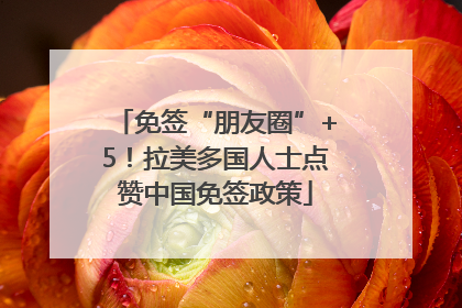 免签“朋友圈”+5！拉美多国人士点赞中国免签政策