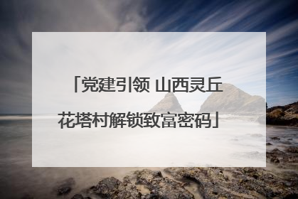 党建引领 山西灵丘花塔村解锁致富密码