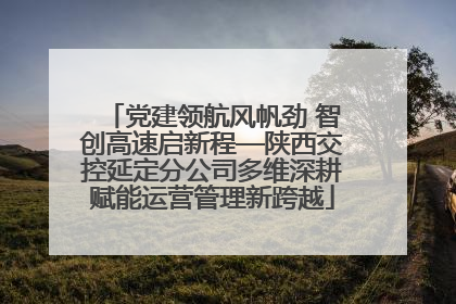 党建领航风帆劲 智创高速启新程—陕西交控延定分公司多维深耕赋能运营管理新跨越