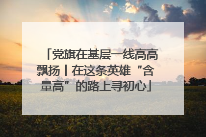 党旗在基层一线高高飘扬丨在这条英雄“含量高”的路上寻初心