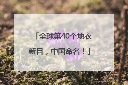 全球第40个地衣新目，中国命名！