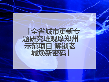 全省城市更新专题研究班观摩郑州示范项目 解锁老城焕新密码