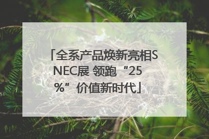 全系产品焕新亮相SNEC展 领跑“25%”价值新时代