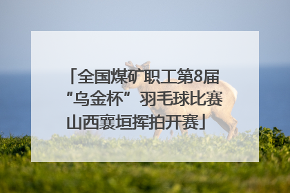 全国煤矿职工第8届“乌金杯”羽毛球比赛山西襄垣挥拍开赛