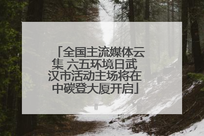全国主流媒体云集 六五环境日武汉市活动主场将在中碳登大厦开启