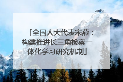 全国人大代表宋燕：构建推进长三角检察一体化学习研究机制