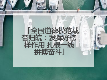 全国道德模范载誉归皖：发挥好榜样作用 扎根一线拼搏奋斗