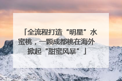 全流程打造“明星”水蜜桃，一颗成都桃在海外掀起“甜蜜风暴”
