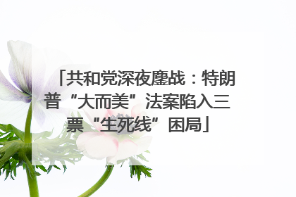 共和党深夜鏖战：特朗普“大而美”法案陷入三票“生死线”困局