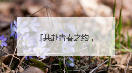 共赴青春之约，南通崇川“飞你莫属 心漾绿茵”草坪飞盘活动举办