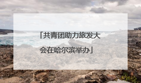 共青团助力旅发大会在哈尔滨举办
