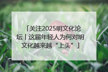 关注2025明文化论坛丨这届年轻人为何对明文化越来越“上头”