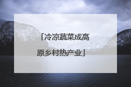 冷凉蔬菜成高原乡村热产业