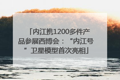 内江携1200多件产品参展西博会：“内江号”卫星模型首次亮相