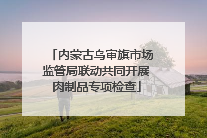 内蒙古乌审旗市场监管局联动共同开展肉制品专项检查