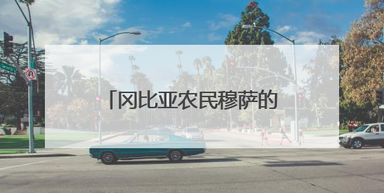 冈比亚农民穆萨的故事，是“中非友好的一段佳话”