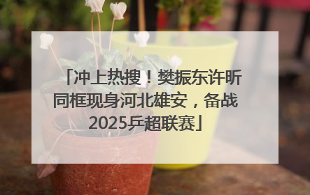 冲上热搜！樊振东许昕同框现身河北雄安，备战2025乒超联赛