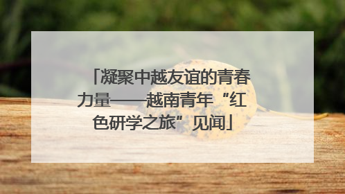 凝聚中越友谊的青春力量——越南青年“红色研学之旅”见闻