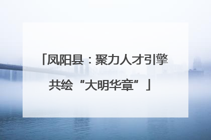 凤阳县：聚力人才引擎 共绘“大明华章”