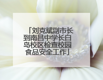 刘克斌副市长到南昌中学长白岛校区检查校园食品安全工作