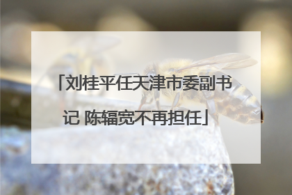 刘桂平任天津市委副书记 陈辐宽不再担任