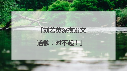 刘若英深夜发文道歉：对不起！
