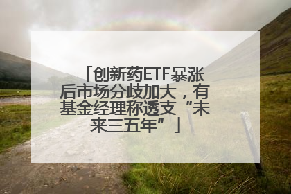 创新药ETF暴涨后市场分歧加大，有基金经理称透支“未来三五年”