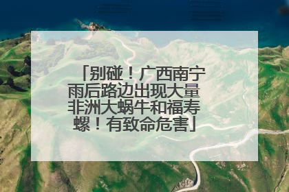 别碰！广西南宁雨后路边出现大量非洲大蜗牛和福寿螺！有致命危害