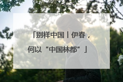 别样中国丨伊春，何以“中国林都”