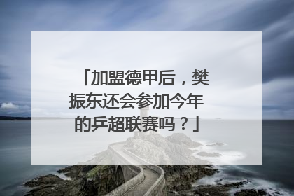 加盟德甲后，樊振东还会参加今年的乒超联赛吗？