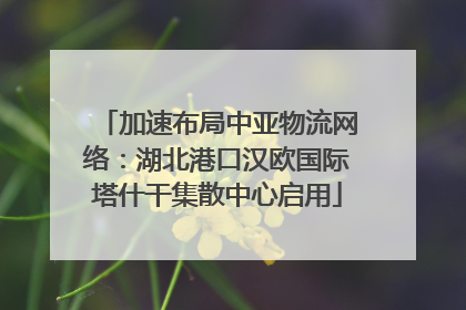 加速布局中亚物流网络：湖北港口汉欧国际塔什干集散中心启用