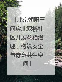 北京朝阳三间房北双桥社区开展花箱治理，构筑安全与诗意共生空间