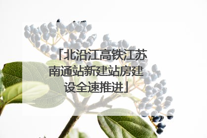 北沿江高铁江苏南通站新建站房建设全速推进