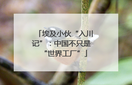 埃及小伙“入川记”：中国不只是“世界工厂”