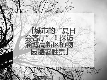 城市的“夏日会客厅”！探访淄博高新区植物园避暑胜景