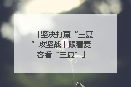 坚决打赢“三夏”攻坚战丨跟着麦客看“三夏”