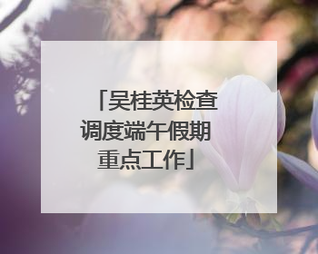 吴桂英检查调度端午假期重点工作